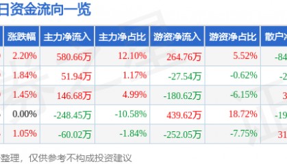 股票行情快报：银星能源（000862）2月10日主力资金净买入580.66万元